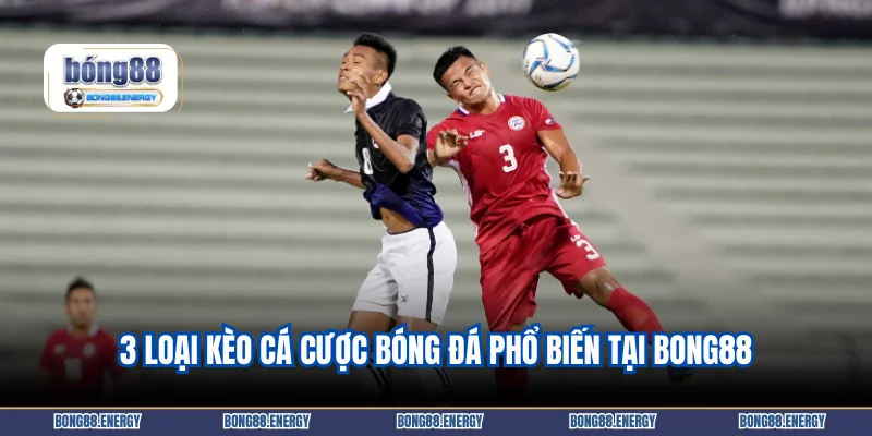 Cá Cược Bóng Đá 2 3 loại kèo cá cược bóng đá phổ biến tại BONG88