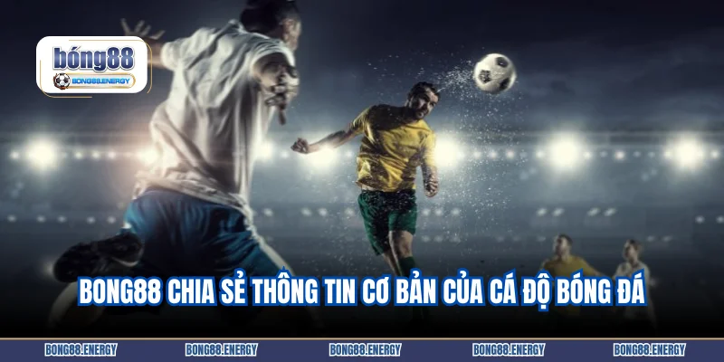 Bong88 chia sẻ thông tin cơ bản của cá độ bóng đá