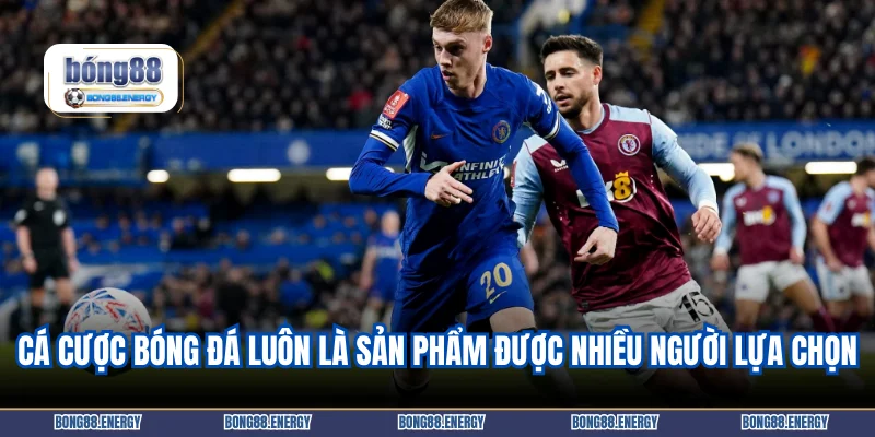 Cá Cược Bóng Đá 1 Cá cược bóng đá luôn là sản phẩm được nhiều người lựa chọn