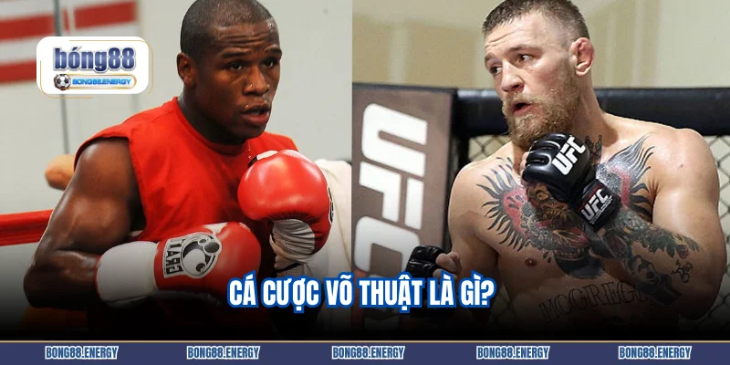 Cá cược võ thuật là gì? 