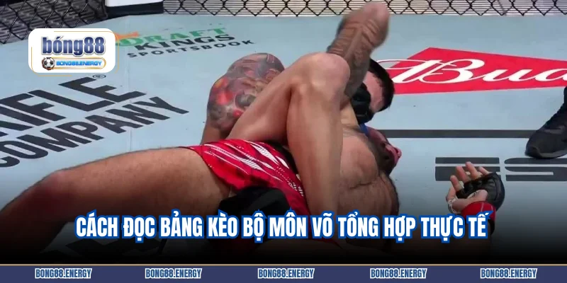 Cách đọc bảng kèo bộ môn võ tổng hợp thực tế 