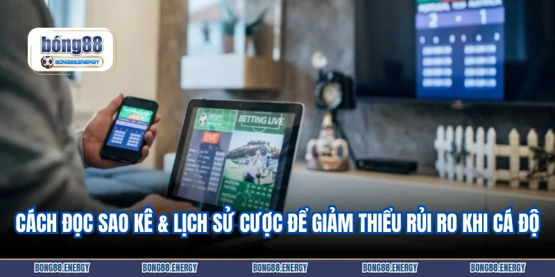 Cách đọc sao kê & lịch sử cược để giảm thiểu rủi ro khi cá độ
