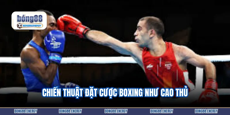 Chiến thuật đặt cược boxing như cao thủ