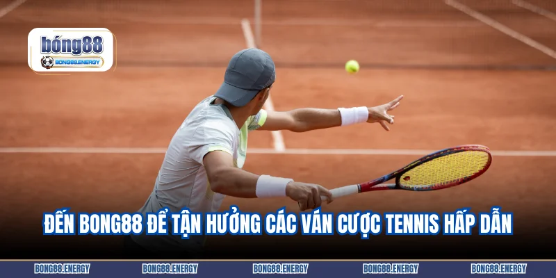 Đến Bong88 để tận hưởng các ván cược tennis hấp dẫn