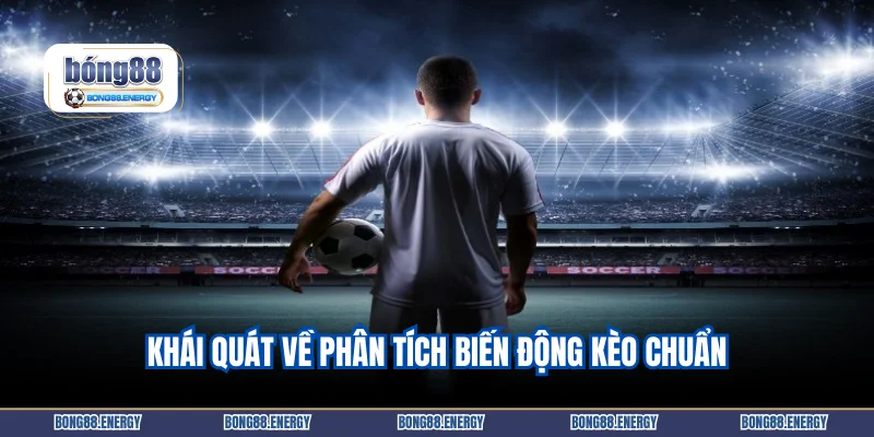 Khái quát về phân tích biến động cược chuẩn