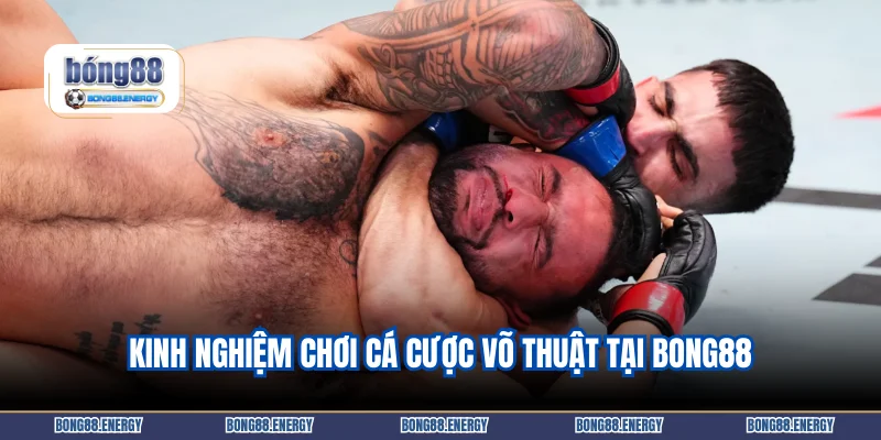 Kinh nghiệm chơi cá cược võ thuật tại BONG88