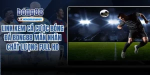 Link xem cá cược bóng đá Bong88