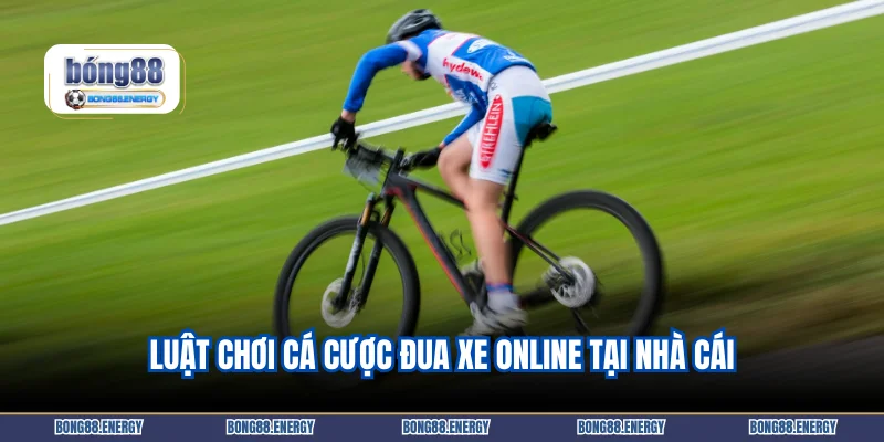 Cá Cược Đua Xe 3 Luật chơi cá cược đua xe online tại nhà cái