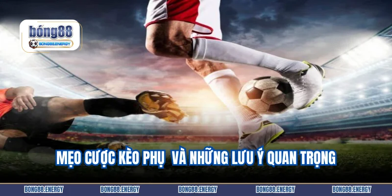 Mẹo cược kèo phụ  và những lưu ý quan trọng