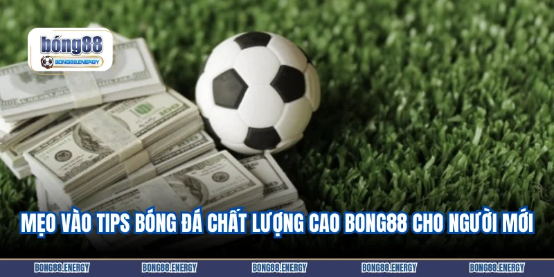 Mẹo vào tips bóng đá chất lượng cao Bong88 cho người mới