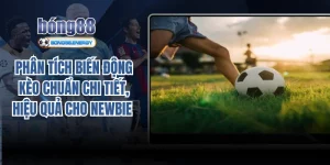 phân tích biến động kèo chuẩn