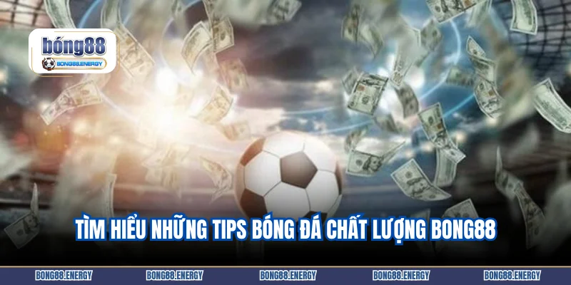 Tìm hiểu những tips bóng đá chất lượng Bong88